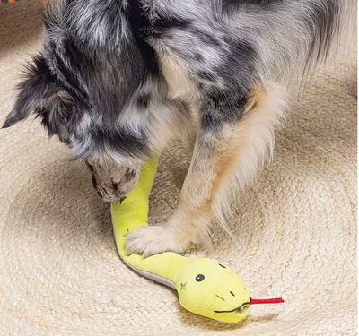 Beeztees Hundespielzeug Hide 'n' Seek Schlange