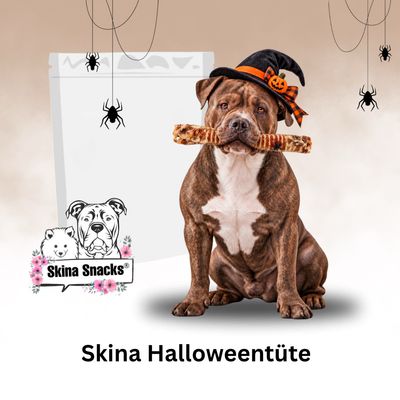 Skina Halloweentüte