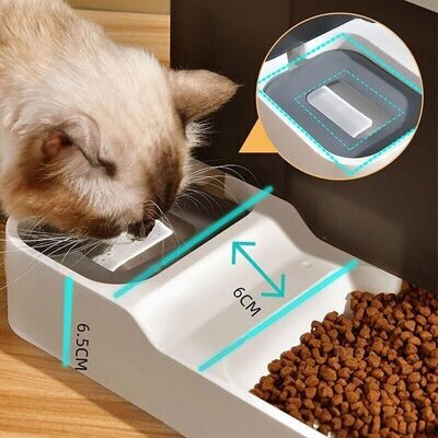 Large Capacity Automatic Cat Food Dispenser Drinking Water Bowl Pet Supplies Wet and Dry Separation  Container