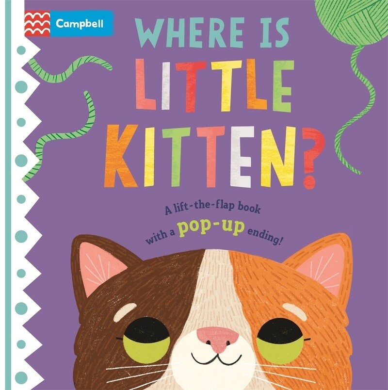 Where is Little Kitten illustrated by Hannah Abbo