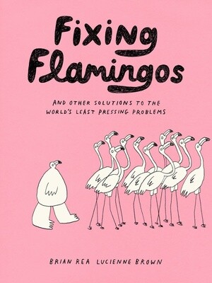 Fixing Flamingos by Lucienne Brown and Brian Rea