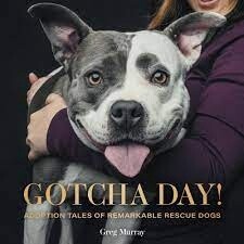 Gotcha Day!  by Greg Murray