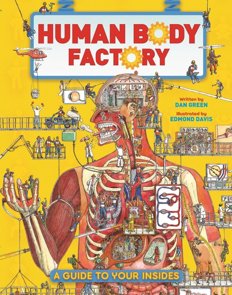 The Human Body Factory by Dan Green
