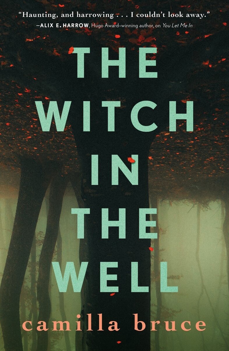 The Witch In The Well by Camilla Bruce