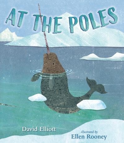 At the Poles by  David Elliott