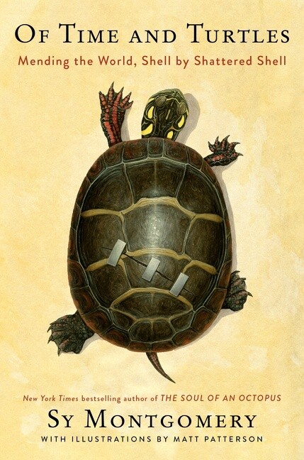 Of Time and Turtlesby Sy Montgomery