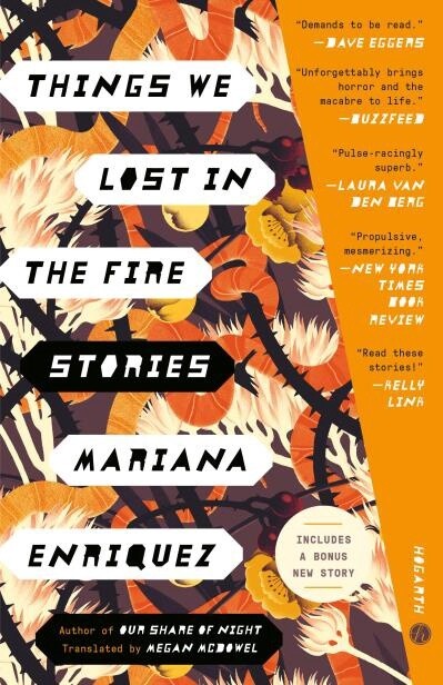 Things We Lost in the Fire Stories by Mariana Enriquez
