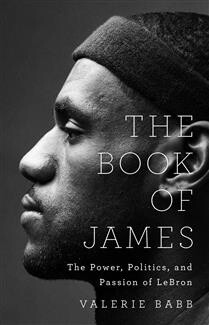 The Book of James by  Valerie Babb