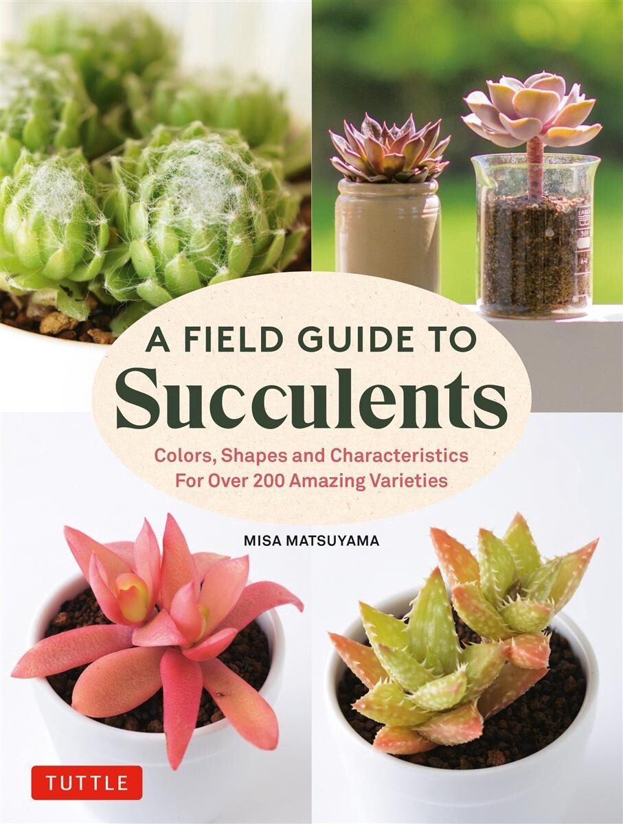 A Field Guide to Succulents by  Misa Matsuyama