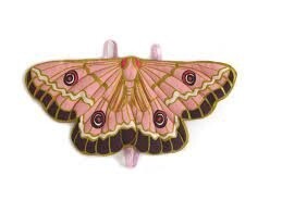 Butterfly Pink Butterfly Wings