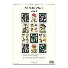 2024 Mushrooms Wall Calendar