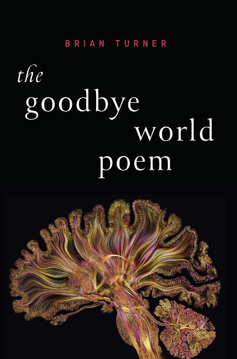 The Goodbye World by Brian Turner
