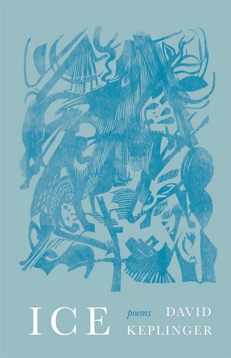 Ice Poems by David Keplinger