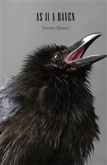 As If A Raven by Yvonne Blomer