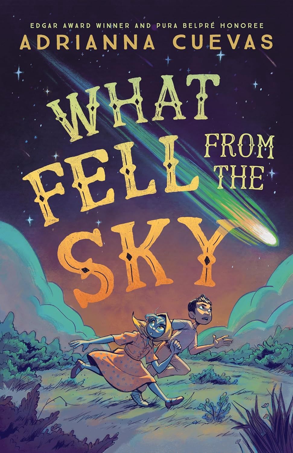 What Fell From the Sky by Adrianna Cuevas