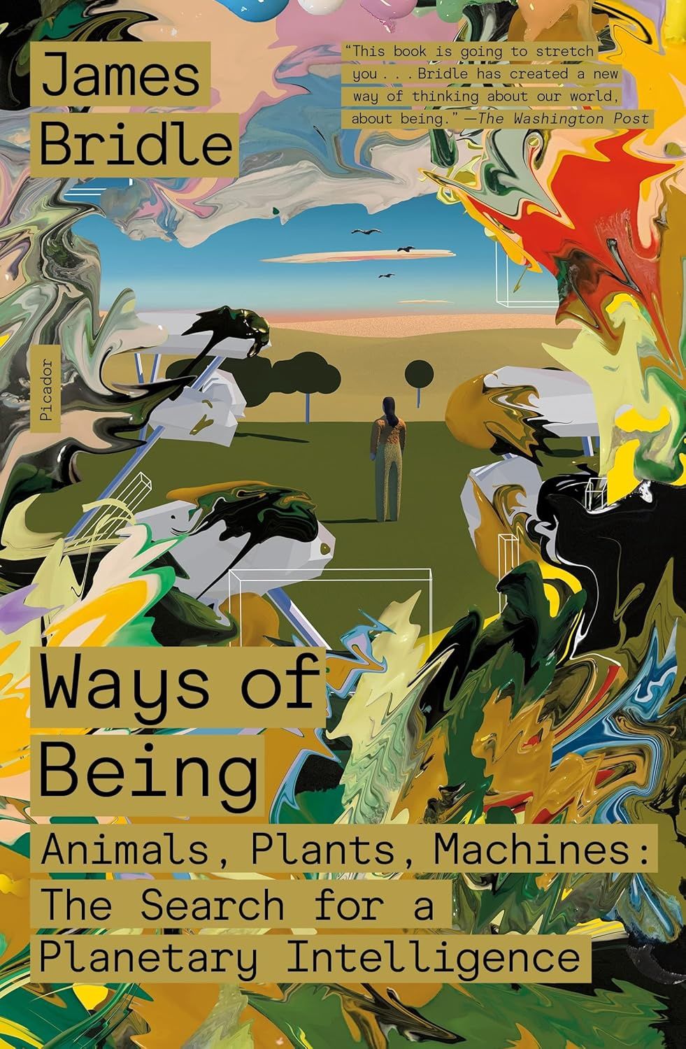 Ways of Being: Animals, Plants, Machines: The Search for a Planetary Intelligence by James Bridle