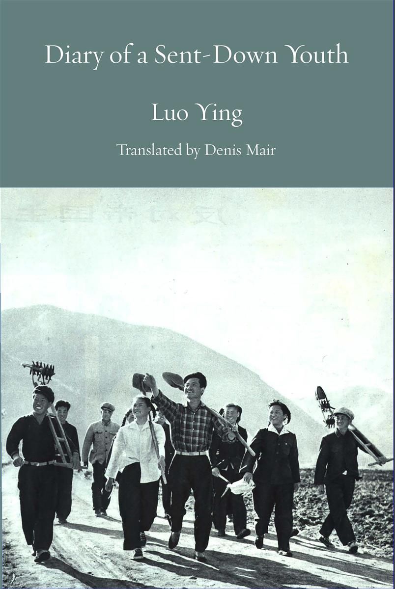 Diary of a Sent-down Youth by Luo Ying
