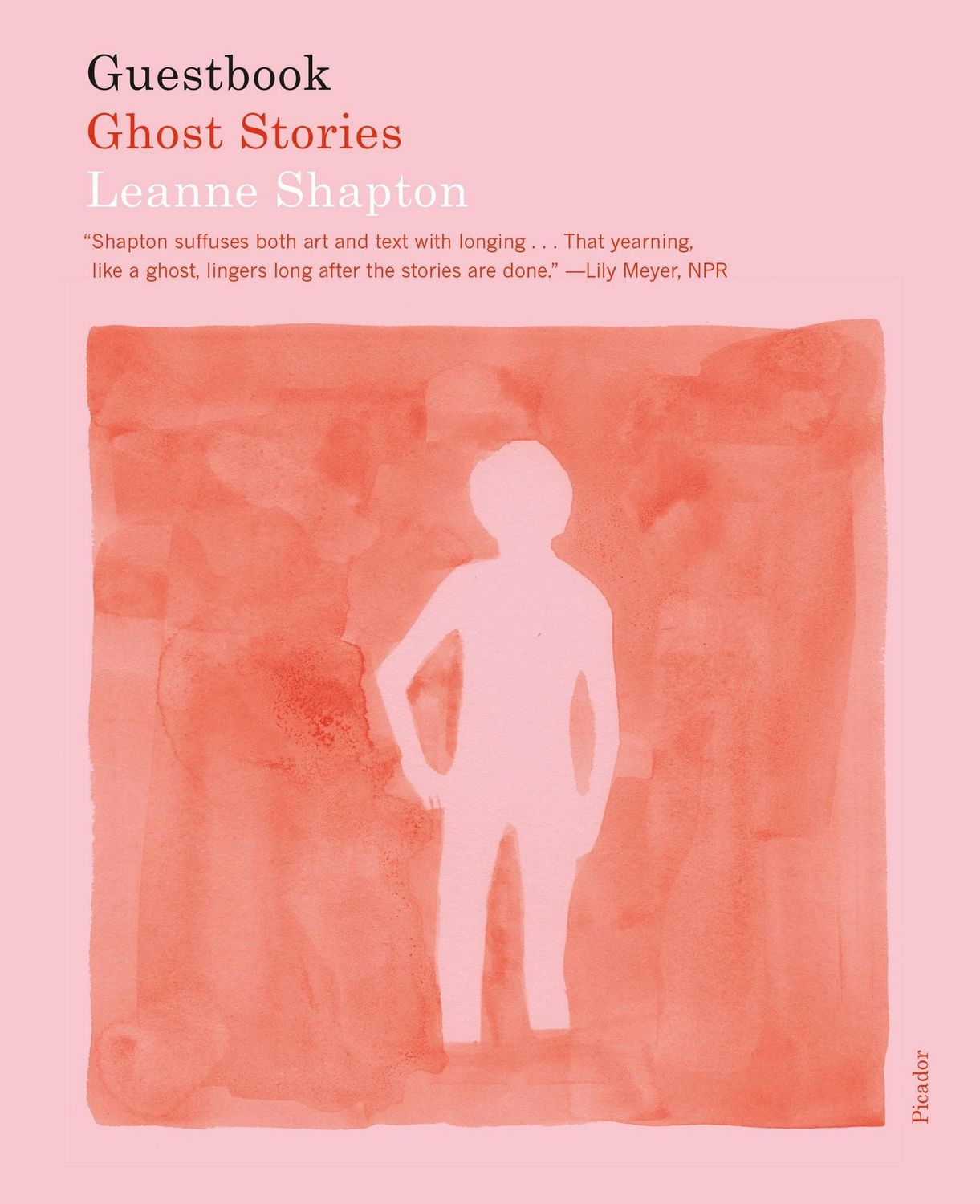 Guestbook: Ghost Stories by Leanne Shapton