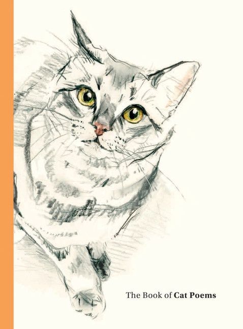 The Book of Cat Poems compiled by Ana Sampson