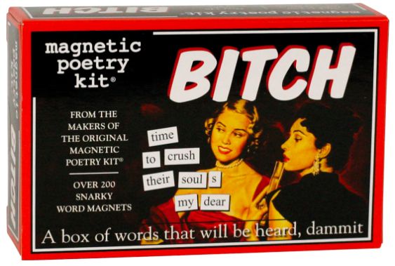 Bitch - Magnetic Poetry Kit