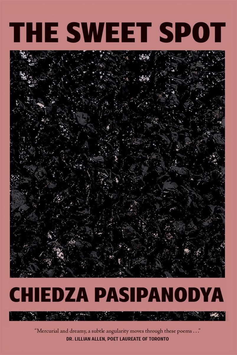 The Sweet Spot by Chiedza Pasipanodya
