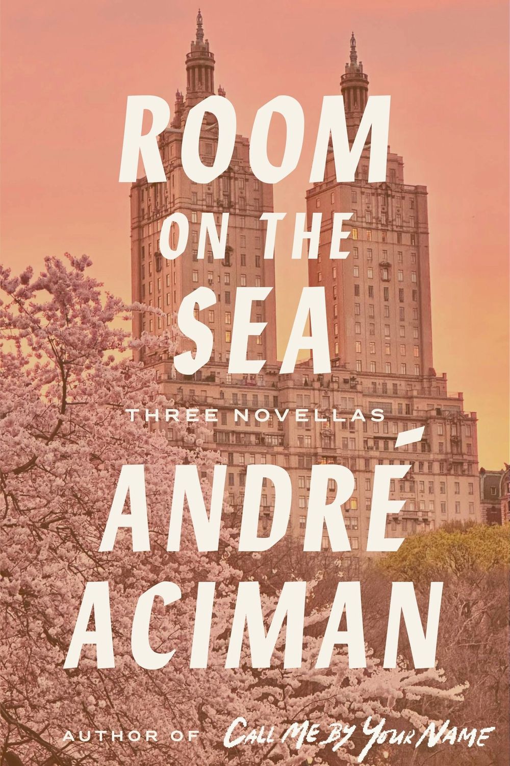 Room on the Sea by André Aciman