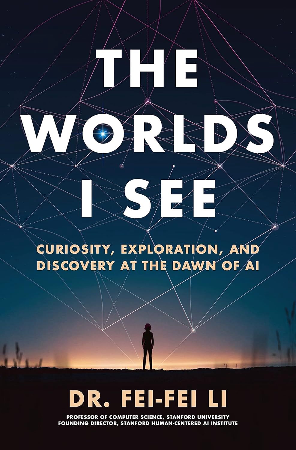 The Worlds I See by Fei-Fei Li - paperback