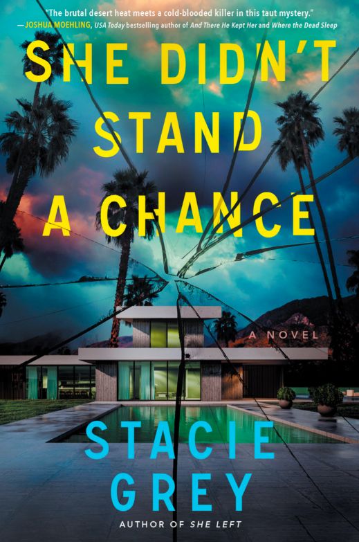 She Didn&#39;t Stand a Chance by Stacie Grey