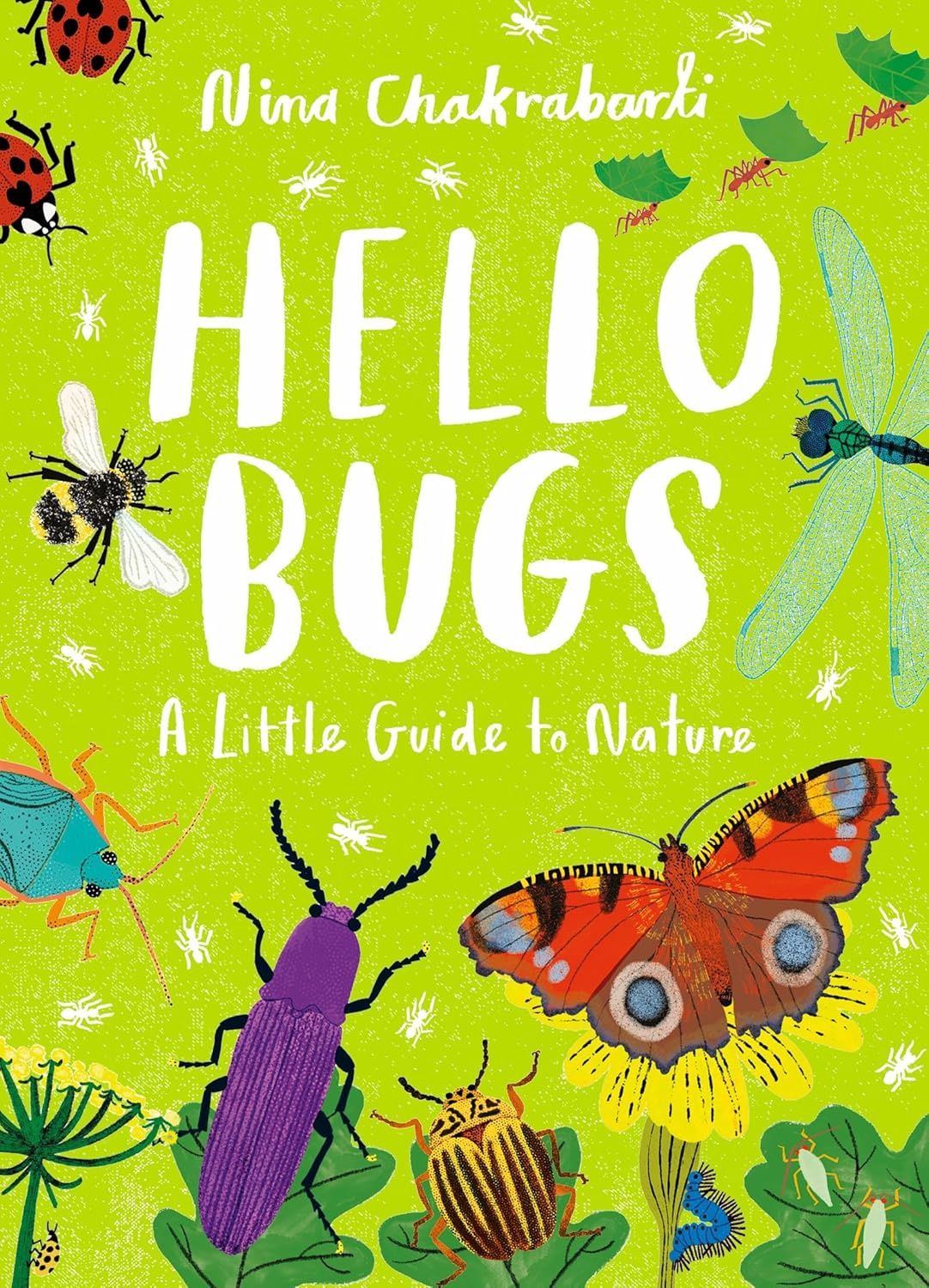 Little Guides to Nature: Hello Bugs illustrated by Nina Chakrabarti