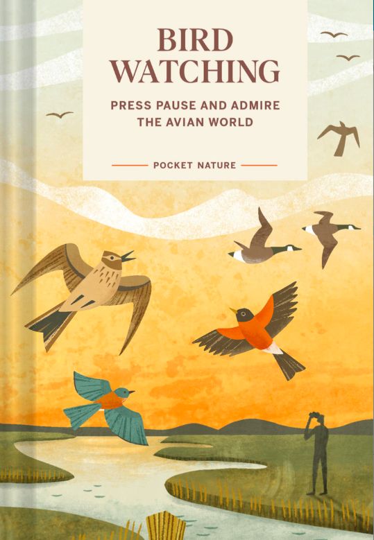 Pocket Nature: Bird-Watching by Andrea Debbink