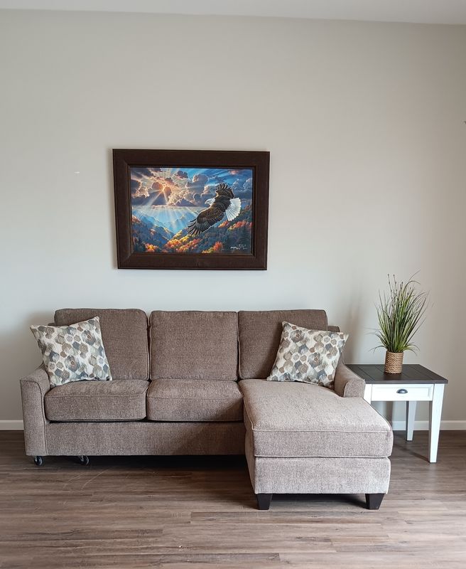 Emy-Bayber Flippable Sofa