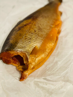 Golden trout- cold smoked +6lbs 