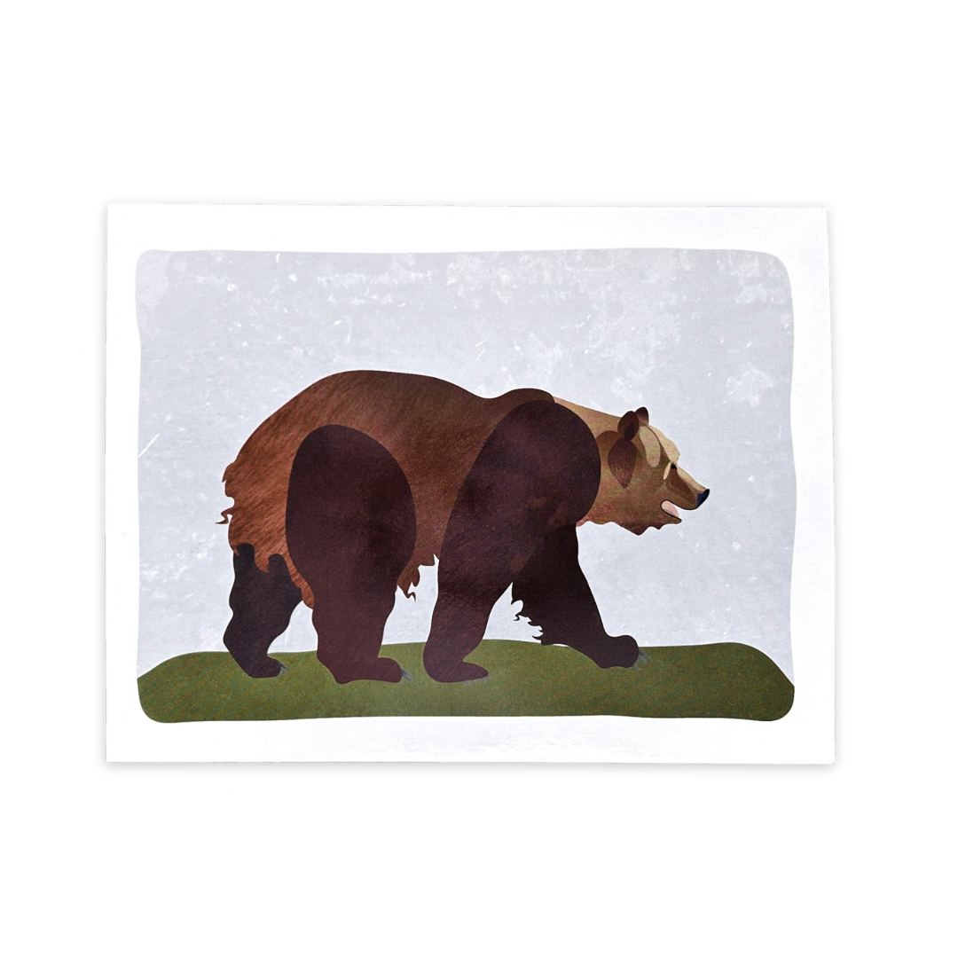 Grizzly | Postcard