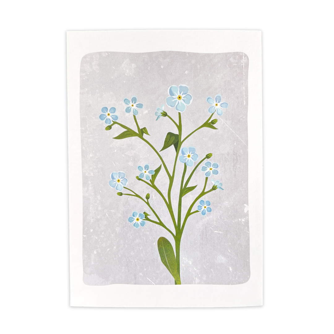 Forget-Me-Not | Postcard