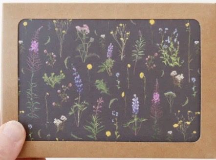 Alaskan Wildflowers Notecard Set (8 pc)
