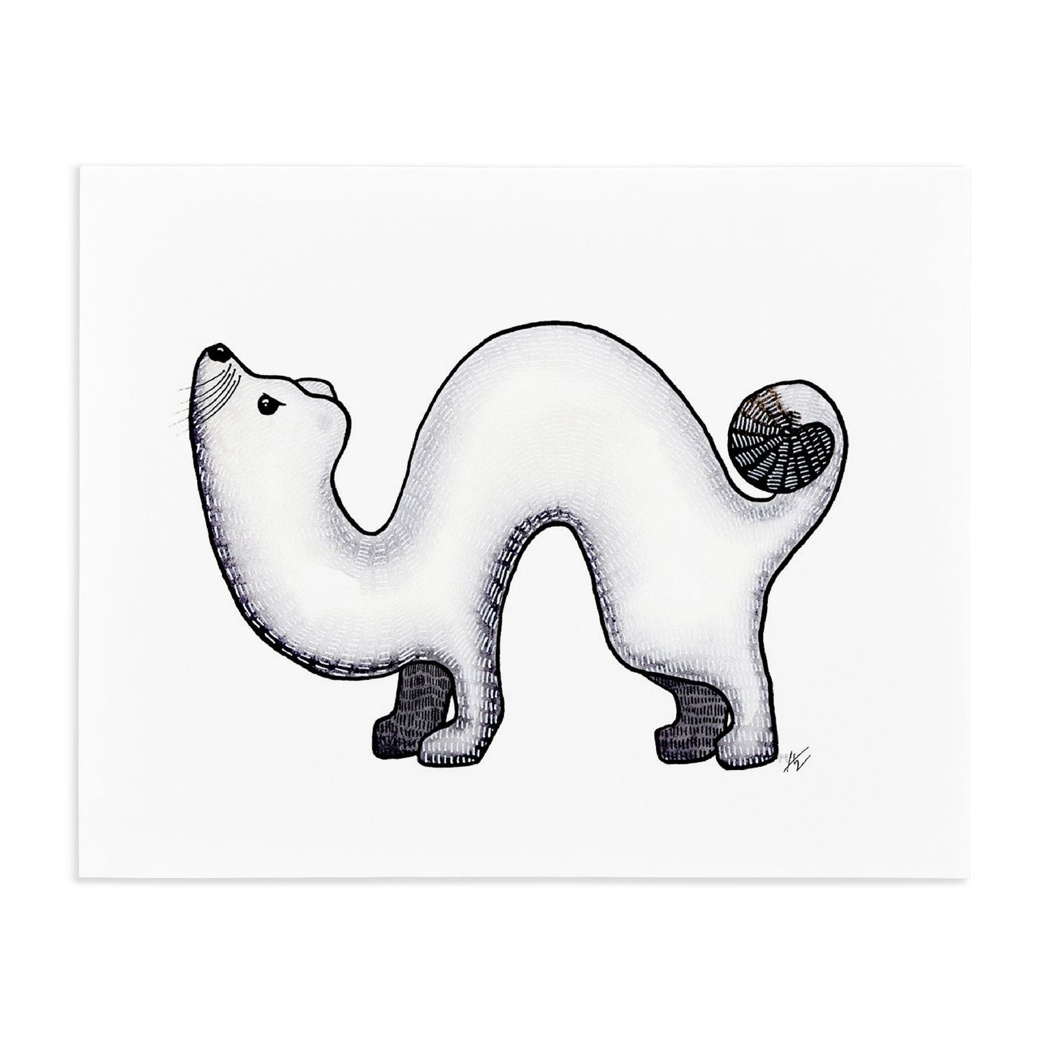 Print 8x10 | Ermine