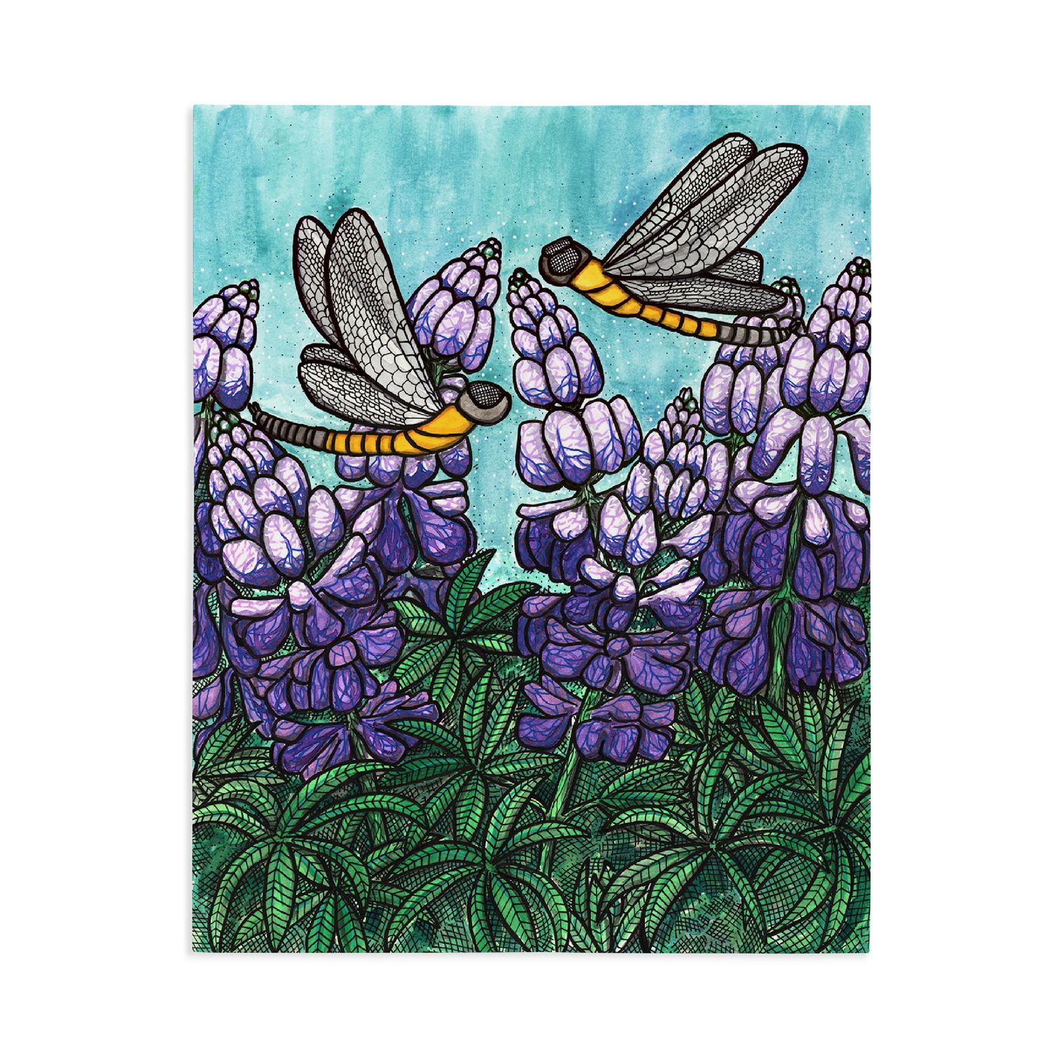 Print 8x10 | Lupine Dragonfly