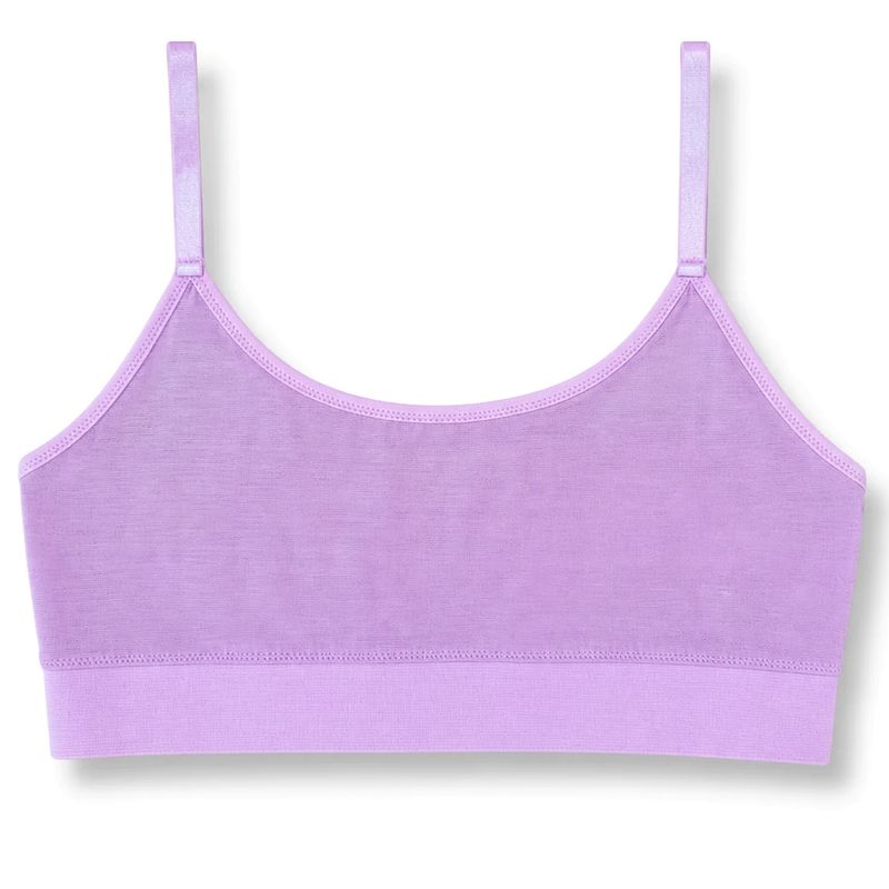 Frosted Lilac Mesh Bra
