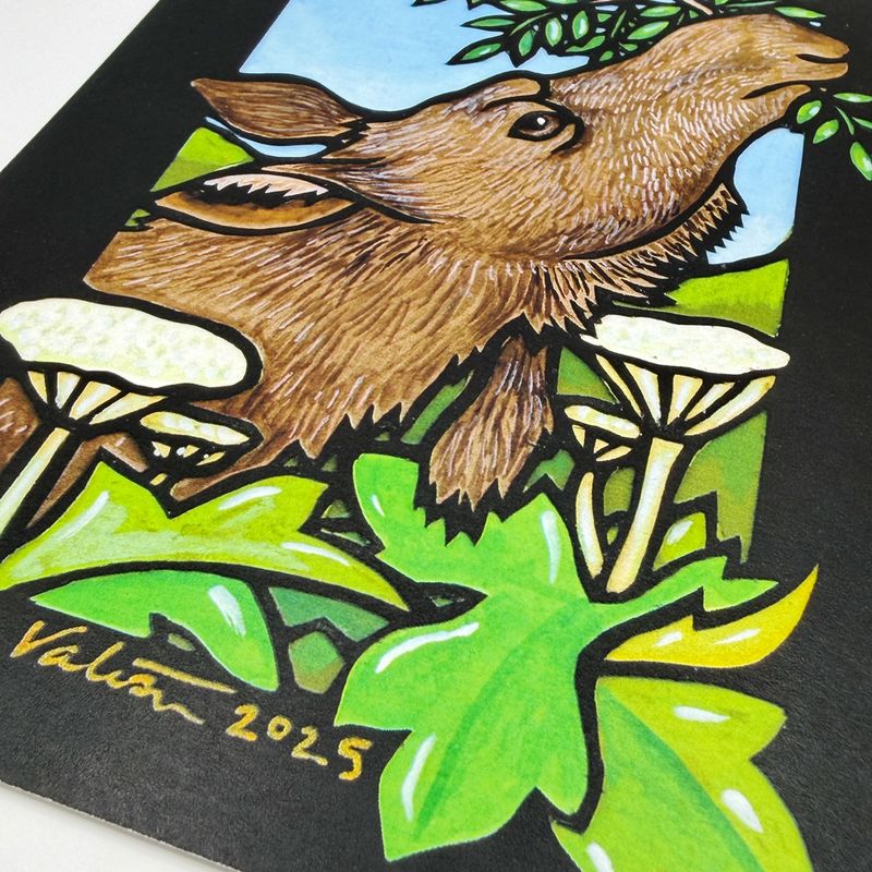 Browse Print | 5x7