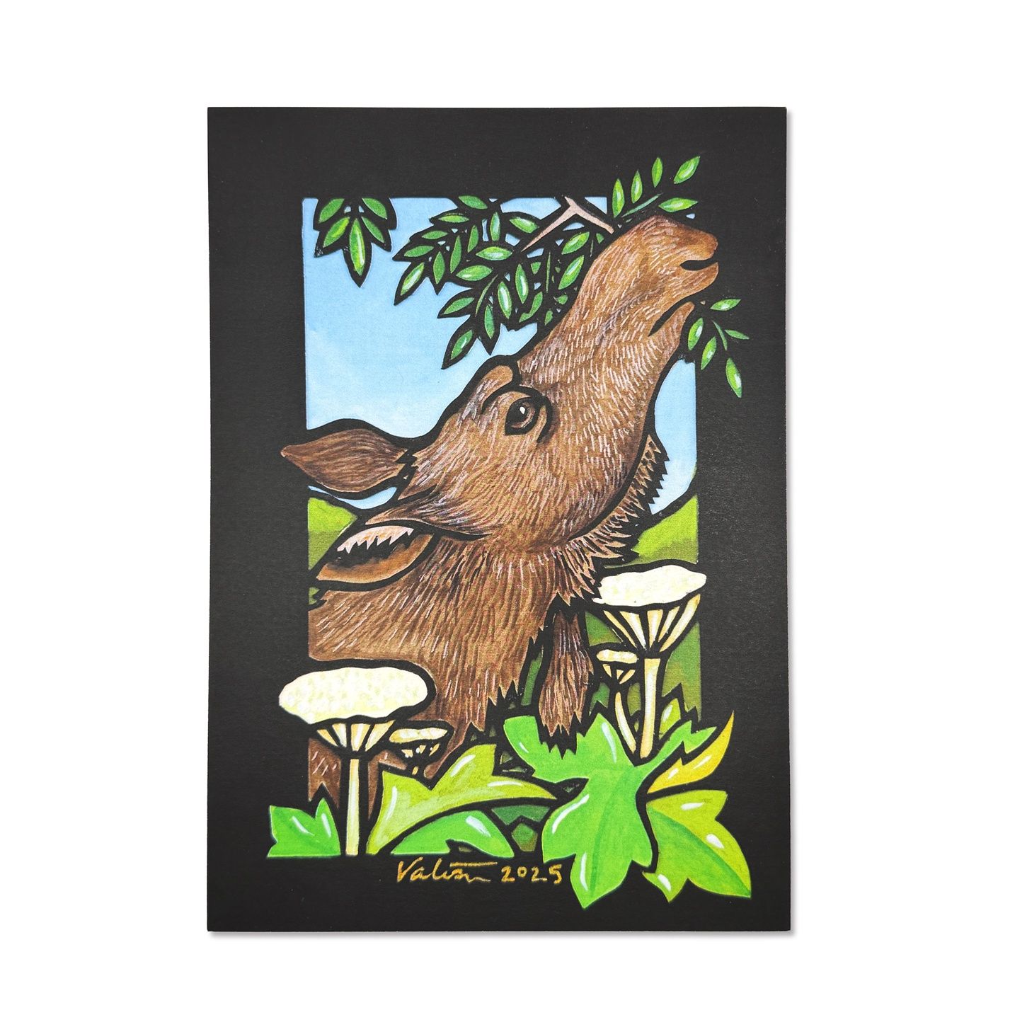 Browse Print | 5x7