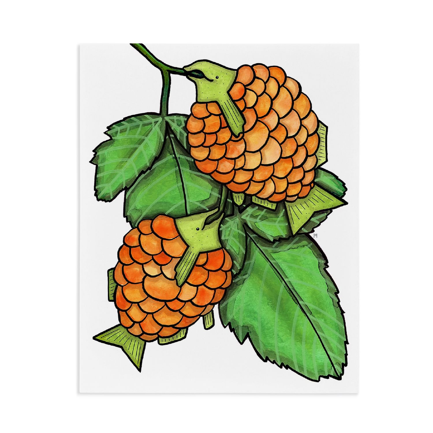 Print 8x10 | Salmon Berries