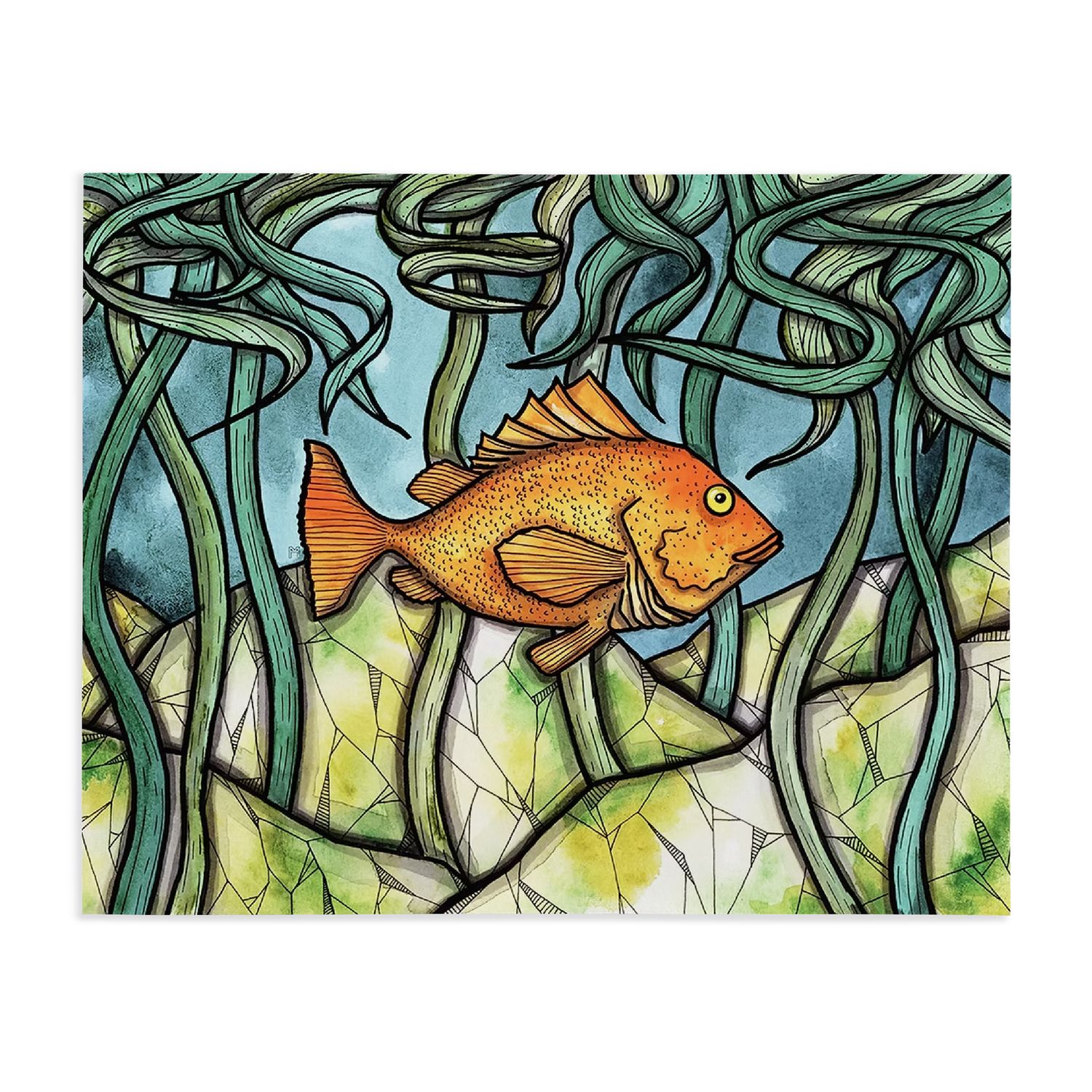 Print 8x10 | Rockfish