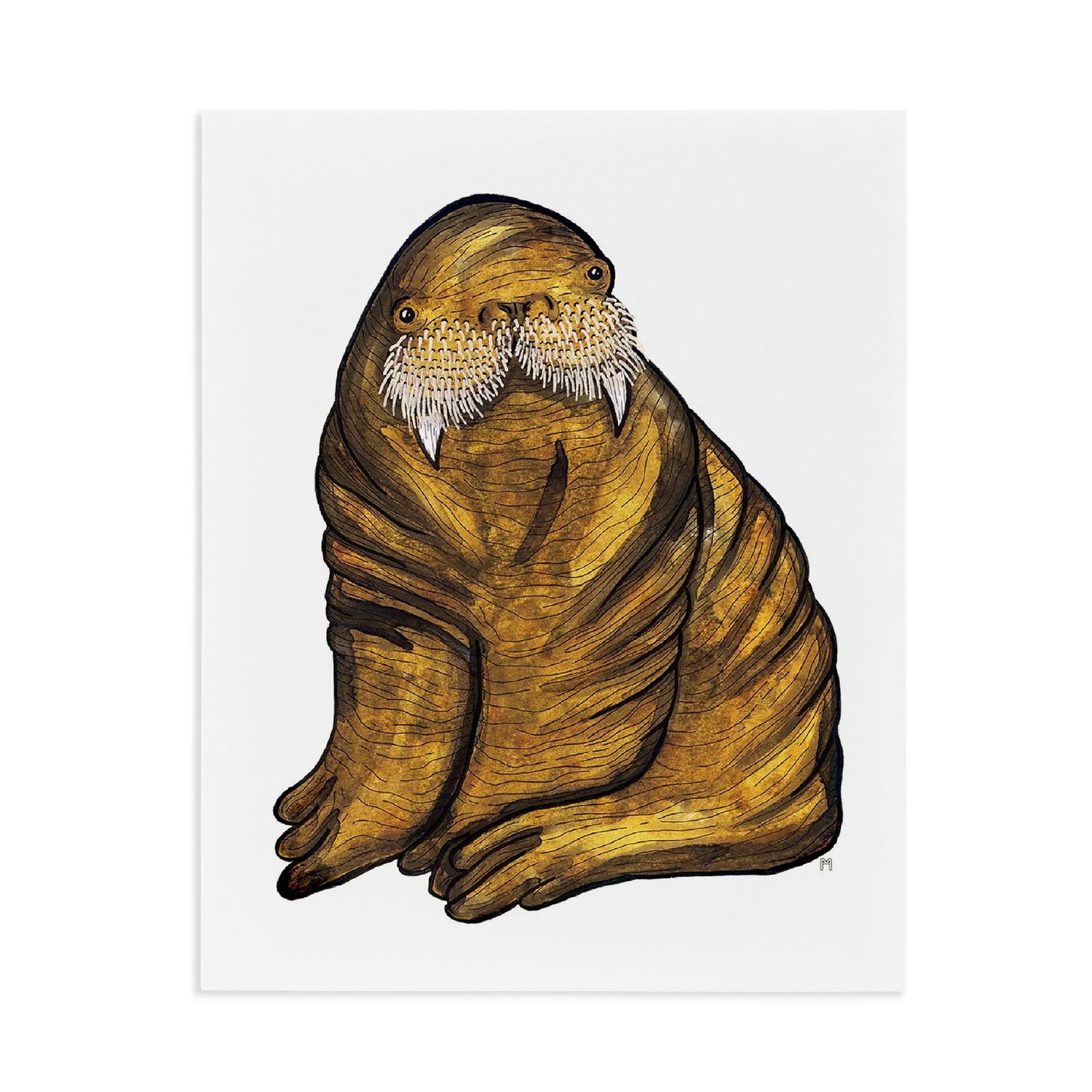 Print 8x10 | Walrus BB