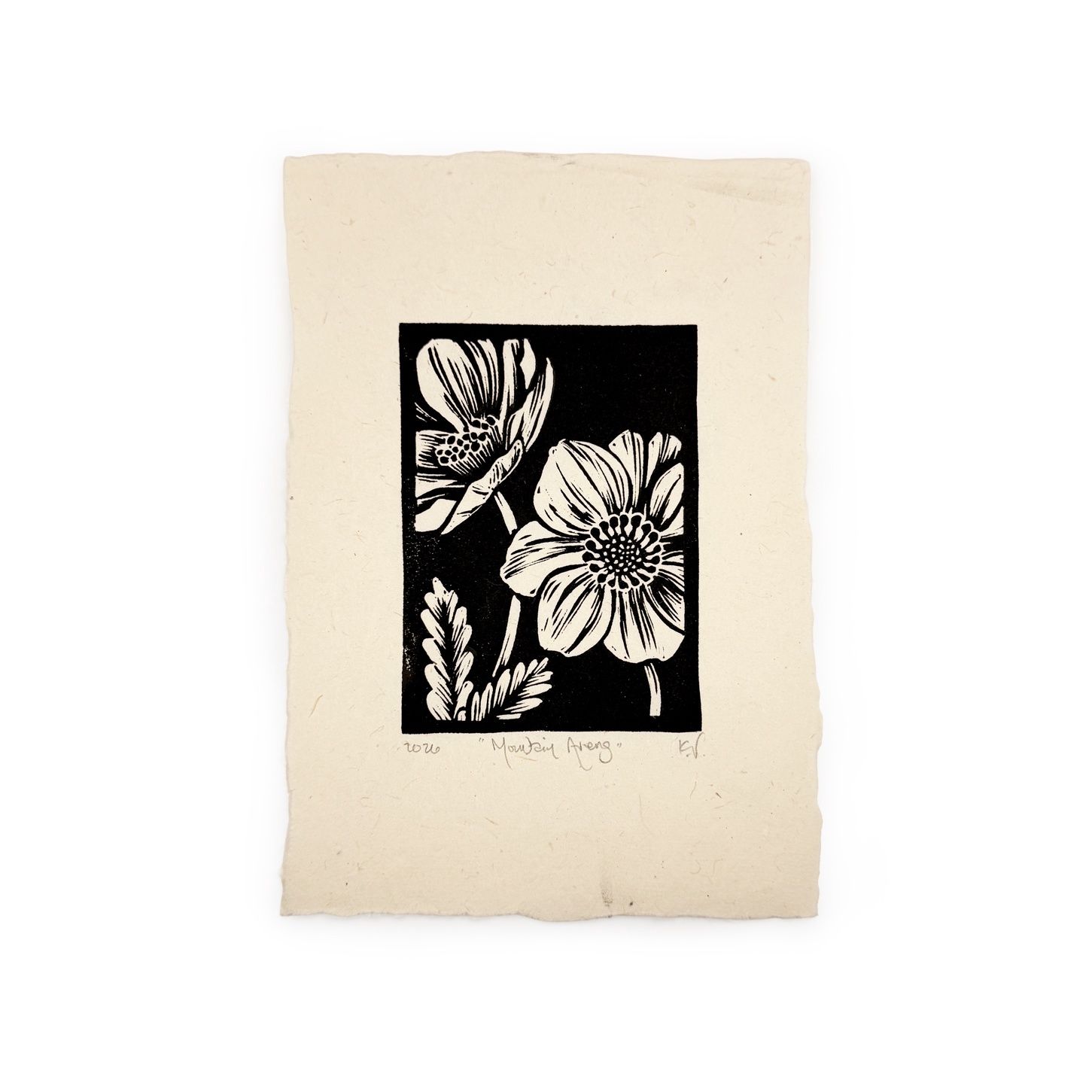 Block Print 5x7 | Mountain Avens