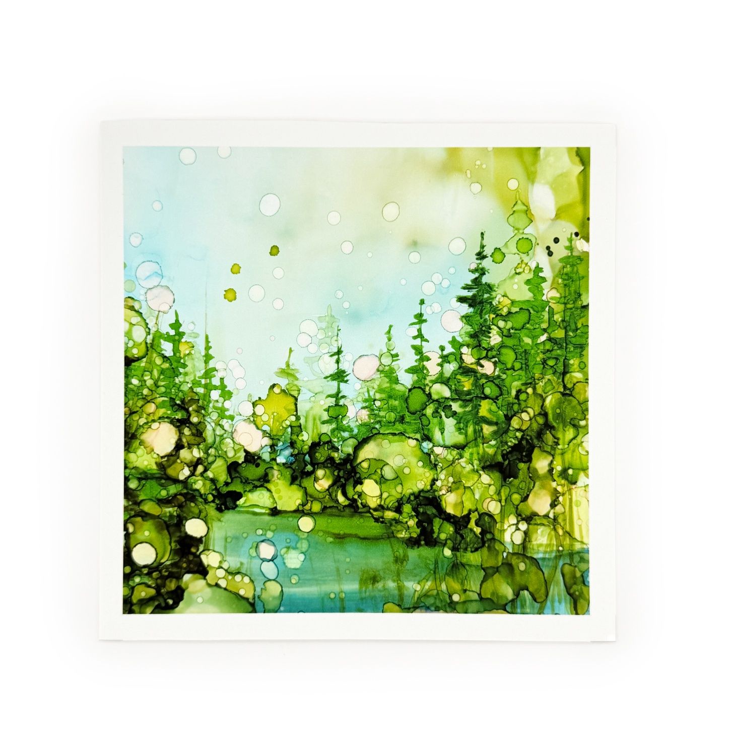 Print 5x5 | South Rolly #8