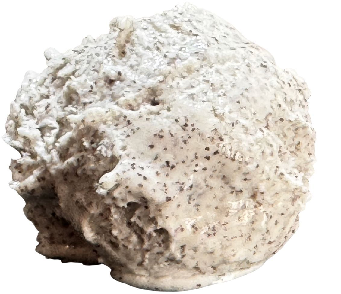 Mohn-Marzipan oder Mohn-Mandel Mohn-Marzipan oder Mohn-Mandel