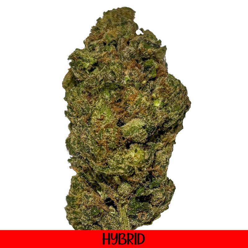 THCA Flower Hybrid - Gelato X Kush mints