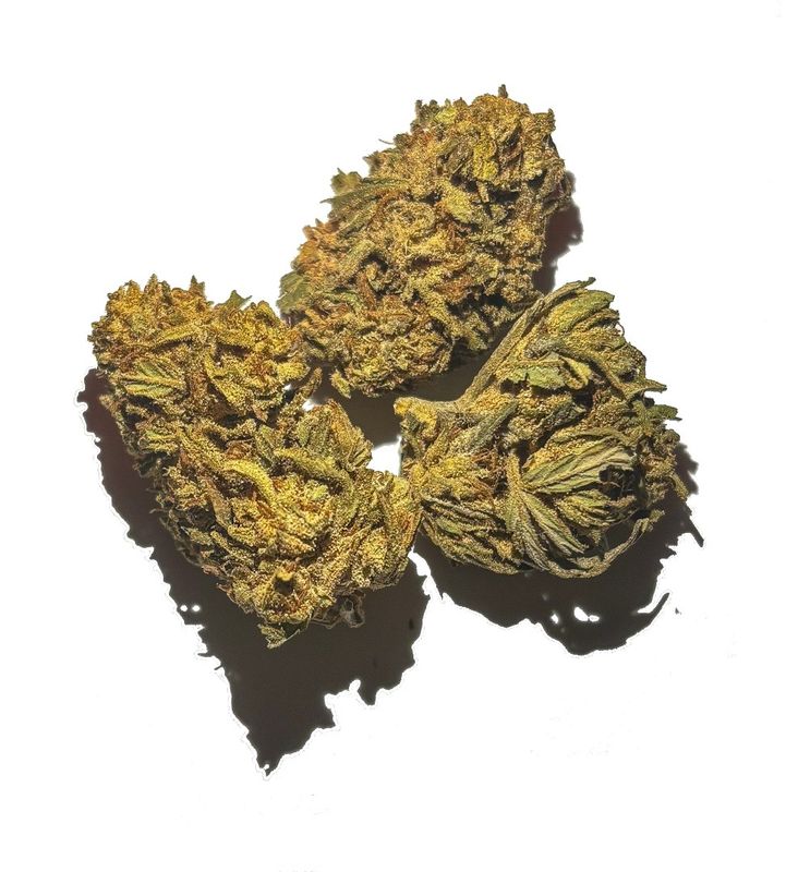 Steel Valley Hemp White CBG Hemp Flower