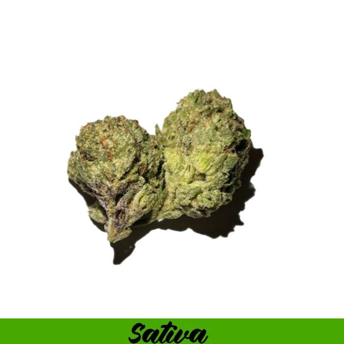 THCA Flower Sativa- Sugar Tarts