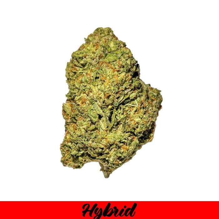 THCA Flower Hybrid - Gelato 41